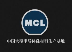 麦斯克电子资料股分无限公司2023年社会义务报告